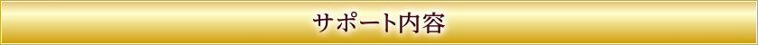 サポート内容