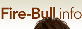 fire-bull.info