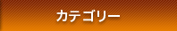 FXブログカテゴリー