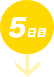 5日目